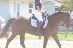 Rider on horse at Wildflower Eventing